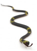 Змея резиновая  0023  серая  CL03-30