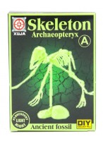 Скелет  ВК  18-28 (A)  "Археоптерикс"  (светится в темноте)