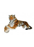 МИ  Тигр лежит на боку