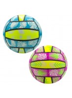 Н-р мячей резиновых  00220/2шт  G20631  Волейбол