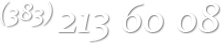 (383) 213 60 08